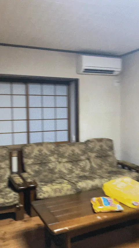 お部屋を探検!